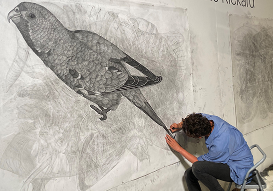 Artist Lucienne Rickard drawing a bird