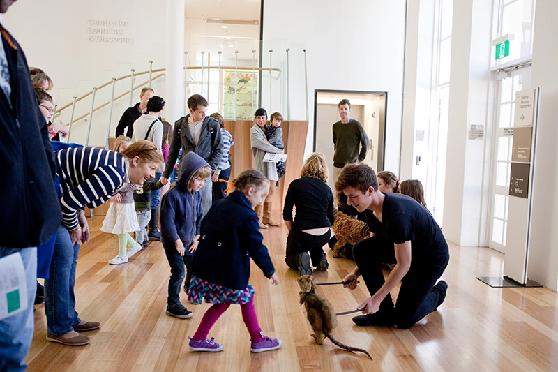 Families and children participating in a museum activity with a small animal.