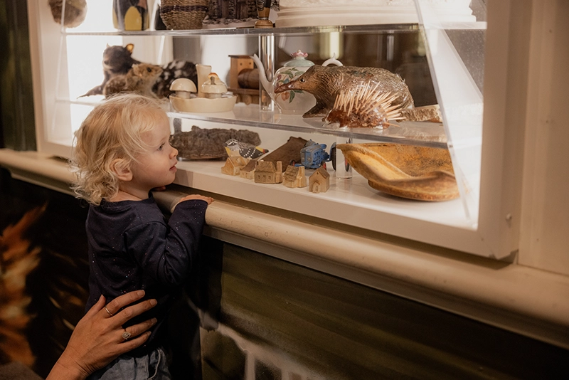 Toddler looking at objects in a museum display case.
