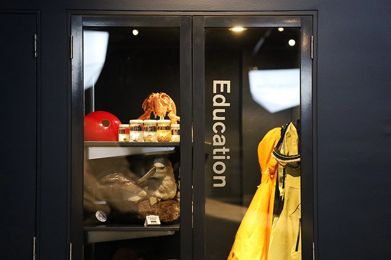 Education display cabinet with specimens and learning materials.