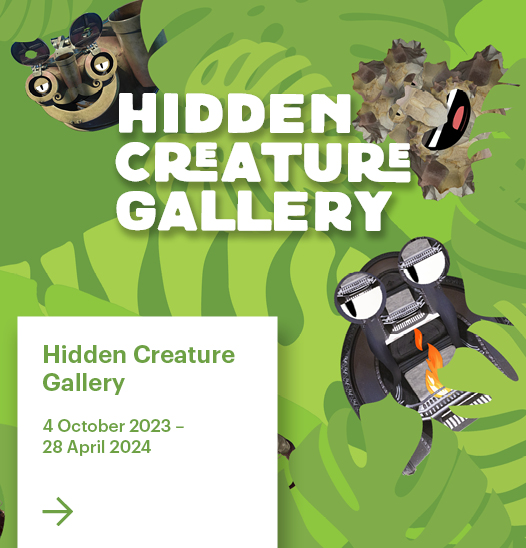 Hidden Creature Gallery