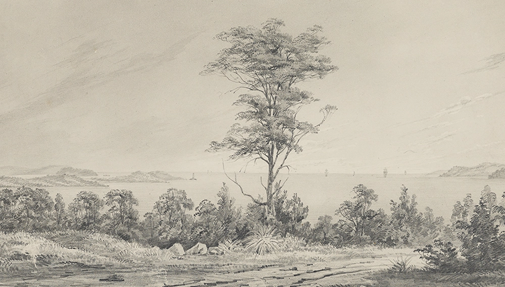 black and white drawing