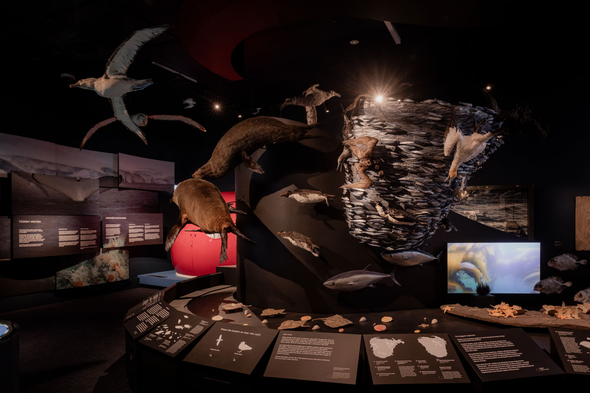 Marine life exhibition with suspended seabirds, seals and a swirling fish display.