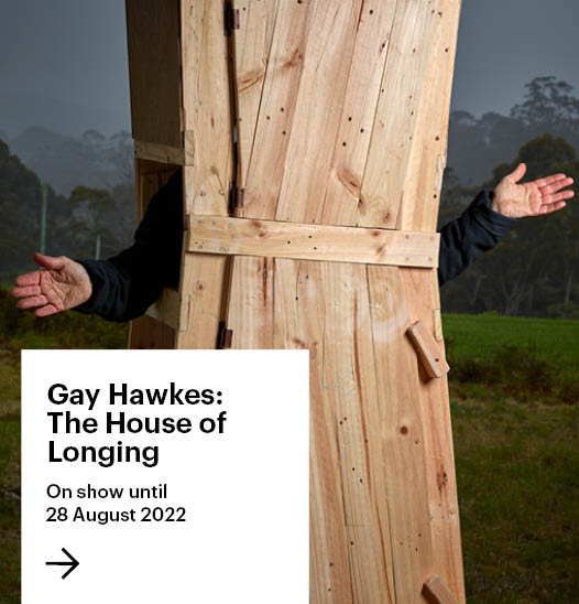 Gay Hawkes The House of Longing
