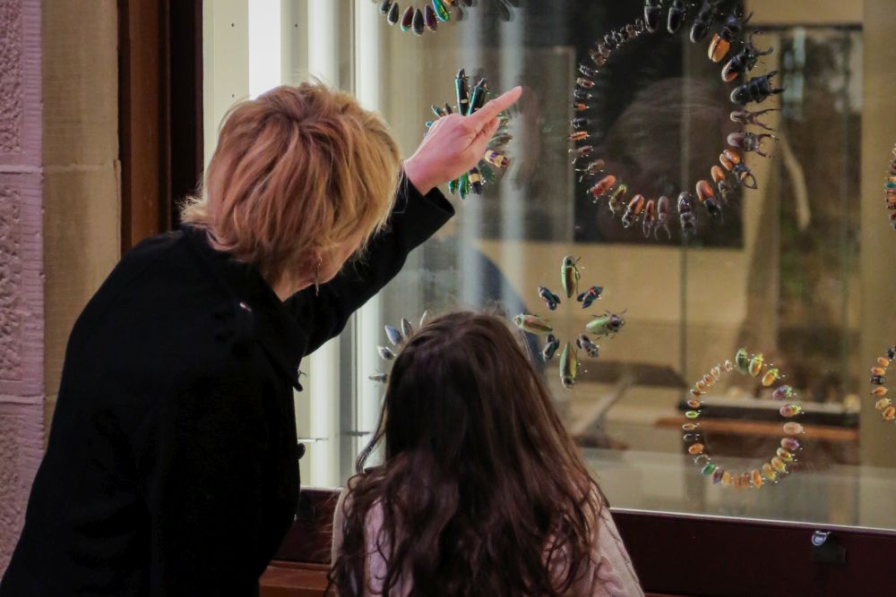 family looking at artifacts